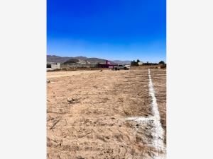 Terreno en venta en San Miguel Tornacuxtla, San Agustín Tlaxiaca — foto 3 de 7