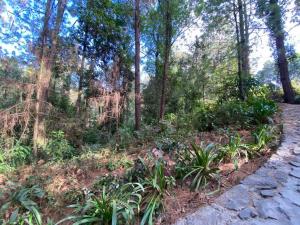 Terreno en venta en Peña Blanca, Valle de Bravo — foto 2 de 4