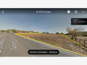 Terreno en venta en Jonacatepec de Leandro Valle Centro, Jonacatepec de Leandro Valle — foto 2 de 6