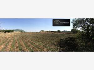 Terreno en venta en Jonacatepec de Leandro Valle Centro, Jonacatepec de Leandro Valle — foto 3 de 6