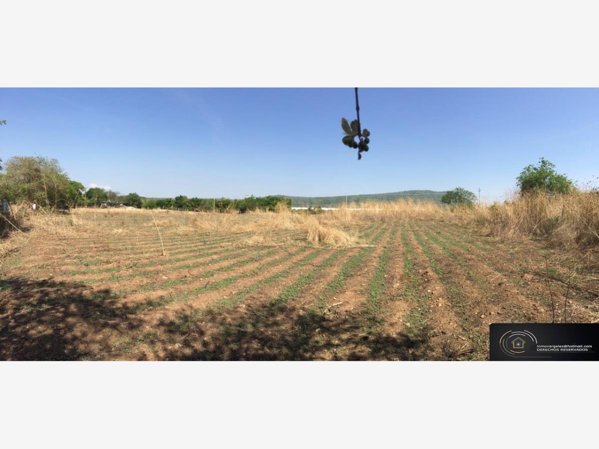 Terreno en venta en Jonacatepec de Leandro Valle Centro, Jonacatepec de Leandro Valle — foto 1 de 6