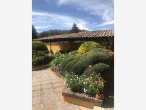 Finca-Rancho en venta en El Plan Villa, Villa del Carbón — foto 3 de 91