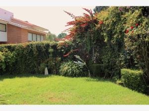 Casa en venta en El Encino del Pueblo Tetelpan, Álvaro Obregón — foto 3 de 13