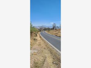 Terreno en venta en Jaripeo, Charo — foto 2 de 14