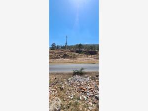 Terreno en venta en Jaripeo, Charo — foto 3 de 14