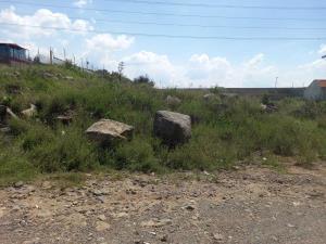 Terreno en venta en Santa Maria Atarasquillo, Lerma — foto 3 de 4