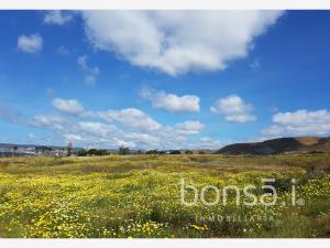 Terreno en venta en El Sauzal, Ensenada — foto 2 de 4