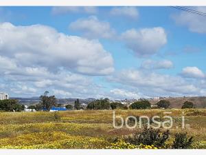 Terreno en venta en El Sauzal, Ensenada — foto 3 de 4