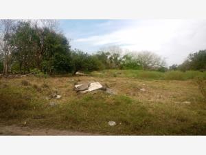 Terreno en venta en Paso Colorado, Boca del Río — foto 2 de 5