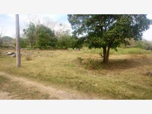 Terreno en venta en Paso Colorado, Boca del Río — foto 3 de 5
