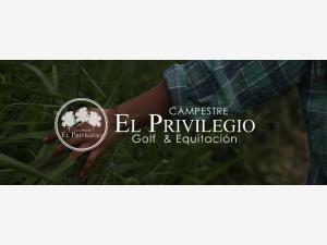 Terreno en venta en La Aguada, Alvarado — foto 2 de 14