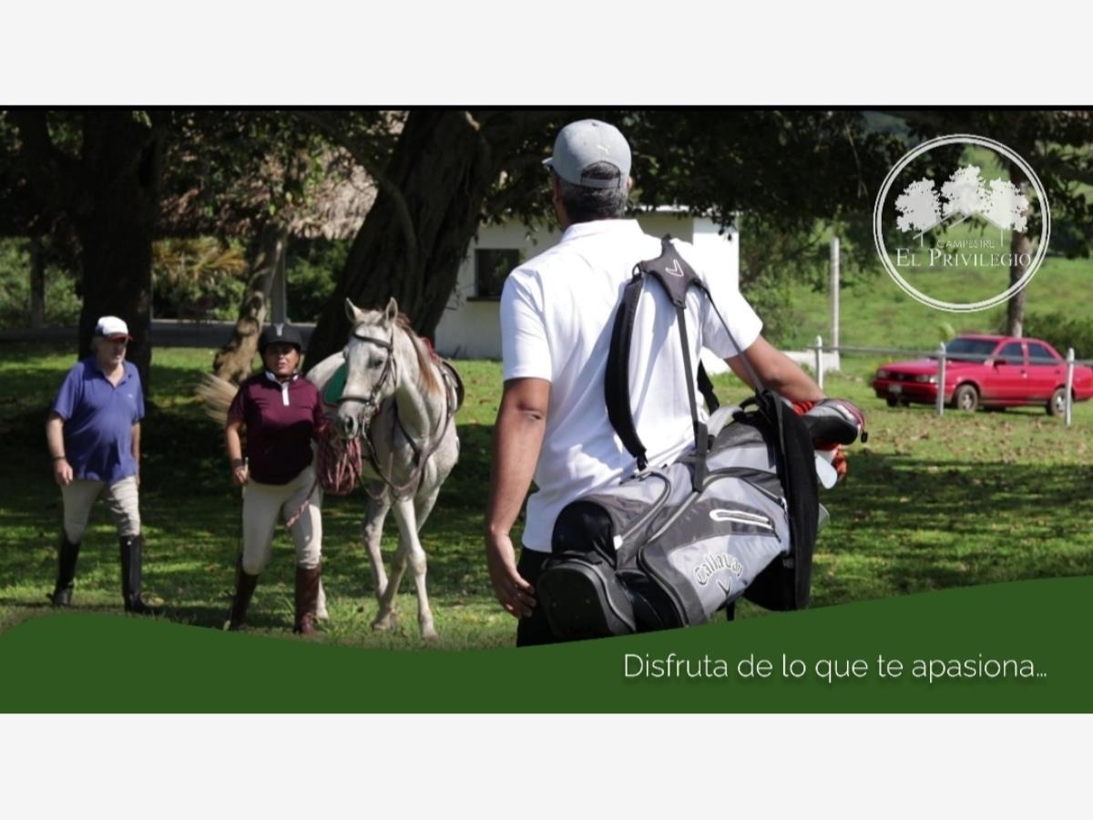 Terreno en venta en La Aguada, Alvarado — foto 1 de 15