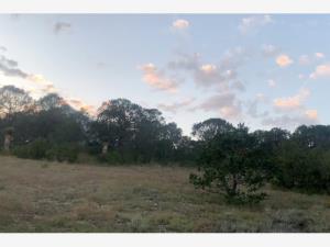 Terreno en venta en Sierra Hermosa, Arteaga — foto 2 de 3