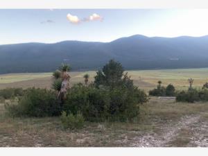 Terreno en venta en Sierra Hermosa, Arteaga — foto 3 de 3