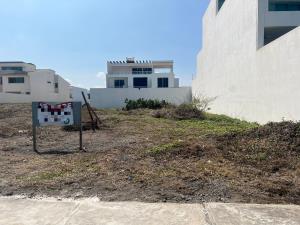 Terreno en venta en Playas del Conchal, Alvarado — foto 2 de 2