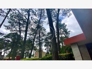 Casa en venta en Tzompantle Norte, Cuernavaca — foto 3 de 22