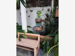 Casa en venta en San Anton, Cuernavaca — foto 2 de 12