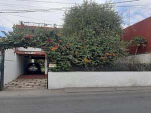 Casa en venta en Centro Jiutepec, Jiutepec — foto 2 de 26