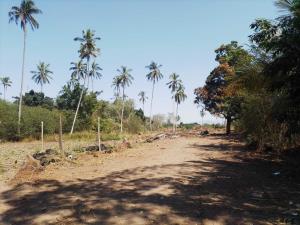 Terreno en venta en Tecuanillo, Tecomán — foto 3 de 10