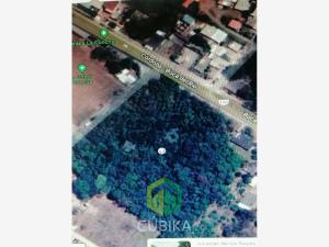 Terreno en venta en San Antonio Fraternidad, Amatlán de los Reyes — foto 2 de 2