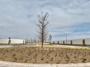 Terreno en venta en La Barranca, Torreón — foto 2 de 10