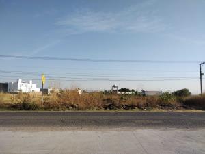 Terreno en venta en Cuchicuato, Irapuato — foto 3 de 4