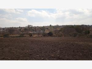 Terreno en venta en Santa María Nativitas, Aculco — foto 3 de 9