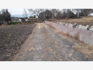 Terreno en venta en Santa María Nativitas, Aculco — foto 2 de 9