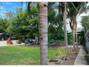 Quinta en venta en Paso Hondo, Allende — foto 2 de 20
