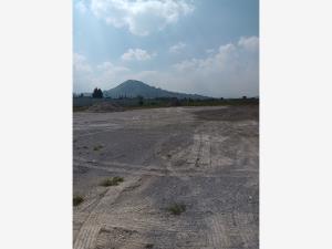 Terreno en renta en Palmillas, Toluca — foto 3 de 3