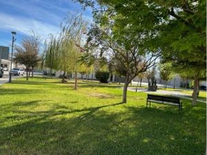 Terreno en venta en Residencial Alpes, Torreón — foto 3 de 6