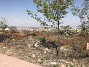 Terreno en venta en Ciudad Maderas, El Marqués — foto 2 de 12