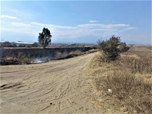 Terreno en venta en San Miguel Xoxtla, San Miguel Xoxtla — foto 2 de 6