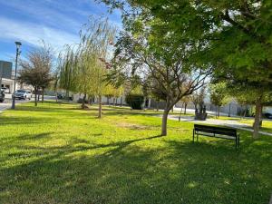 Terreno en venta en Residencial Alpes, Torreón — foto 2 de 2