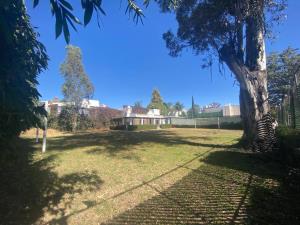 Terreno en venta en Rivadavia, San Pedro Cholula — foto 3 de 8