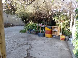 Terreno en venta en Huayatla, La Magdalena Contreras — foto 2 de 19