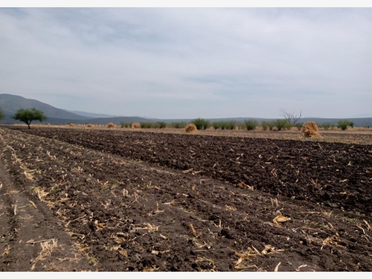 Terreno en venta en El Órgano, San Ciro de Acosta — foto 1 de 11