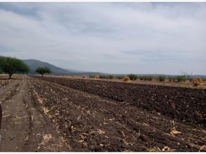 Terreno en venta en El Órgano, San Ciro de Acosta — foto 2 de 11
