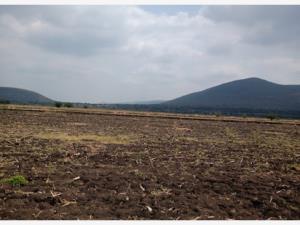 Terreno en venta en El Órgano, San Ciro de Acosta — foto 3 de 11