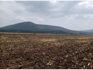 Terreno en renta en El Órgano, San Ciro de Acosta — foto 3 de 12