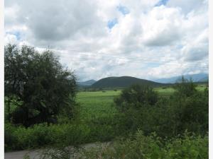 Terreno en venta en El Órgano, San Ciro de Acosta — foto 3 de 11
