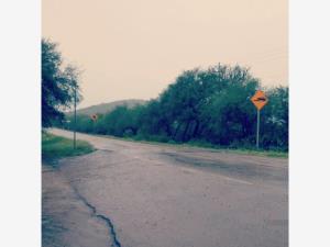 Terreno en renta en El Órgano, San Ciro de Acosta — foto 2 de 7
