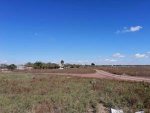 Terreno en venta en Libertad, Matamoros — foto 2 de 3