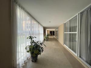 Casa en venta en Jardines del Pedregal, Álvaro Obregón — foto 3 de 30