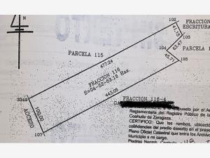 Terreno en venta en Ejido Piedras Negras, Piedras Negras — foto 2 de 10