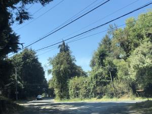 Terreno en venta en Tres Marias, Huitzilac — foto 3 de 6