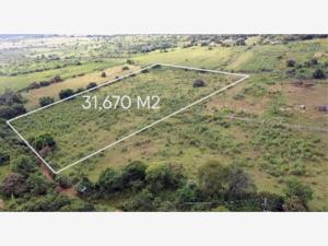Terreno en venta en San Andrés de la Cal, Tepoztlán — foto 3 de 9