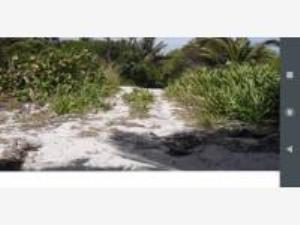 Terreno en venta en Cancún Centro, Benito Juárez — foto 3 de 13