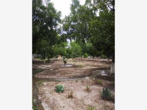 Terreno en venta en Del Perico, Parras — foto 2 de 5