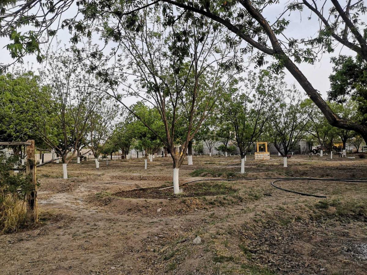 Terreno en venta en Del Perico, Parras — foto 1 de 5